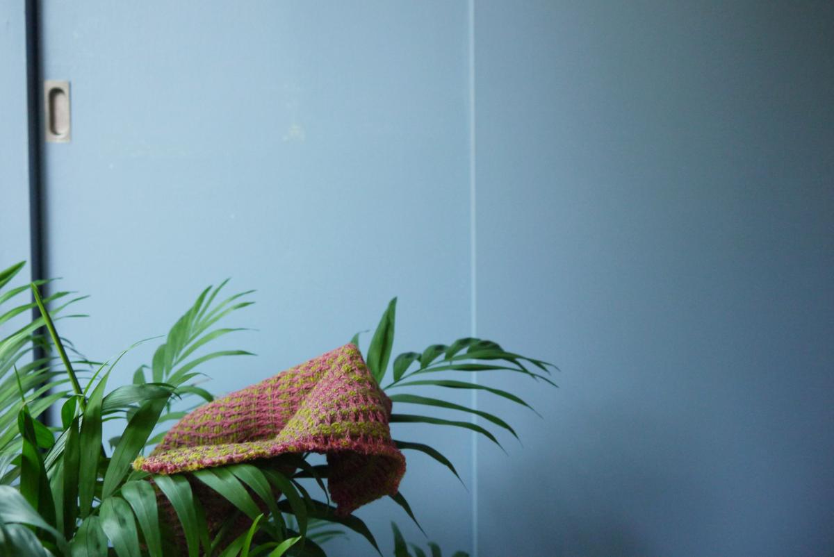 small square of waffle weave held by the leaf of a plant in front of a blue wall