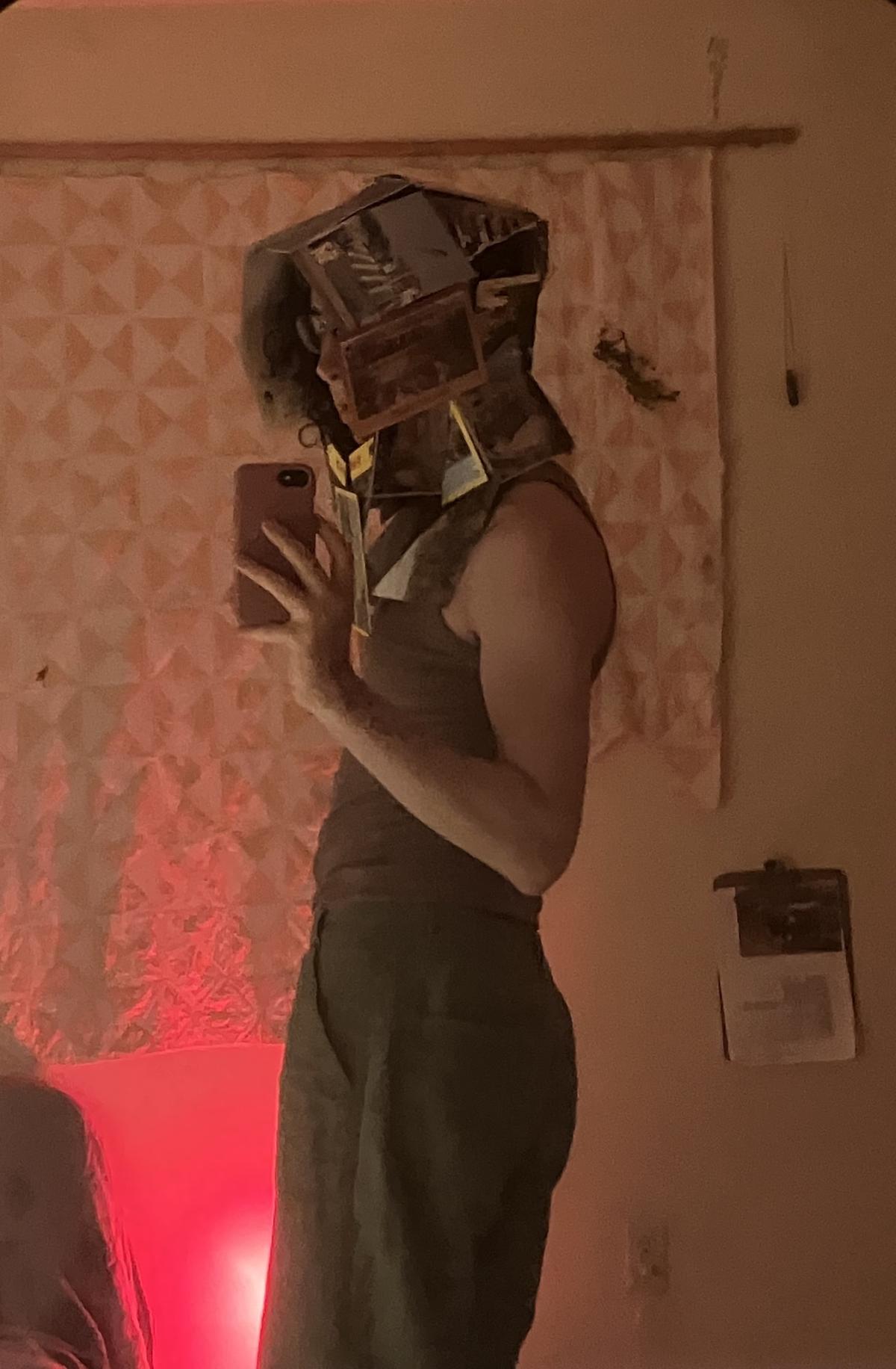 mirror selfie of rosemary wearing a tank top and a loose helmet-like hood made of cut and sewn postcards.