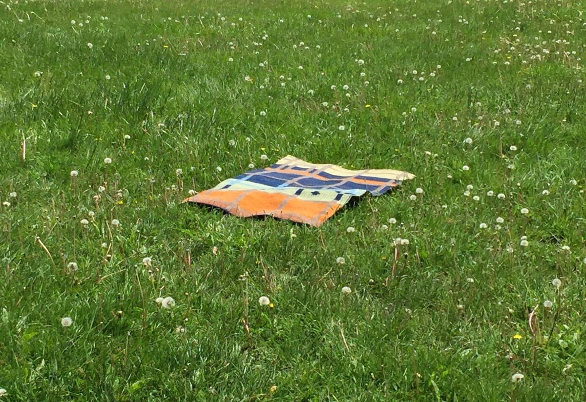 another rug draped in the grass and dandelions.