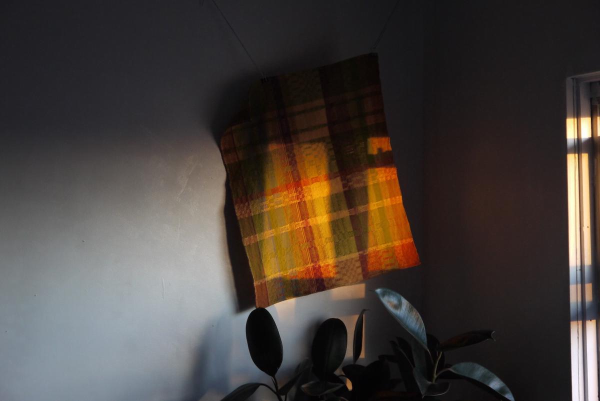 towel hanging in a corner above a houseplant, suffused with warm sunset glow